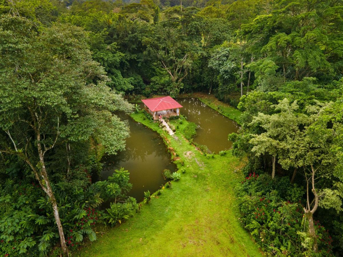 Ara Ambigua Lodge Sarapiqui Exterior photo