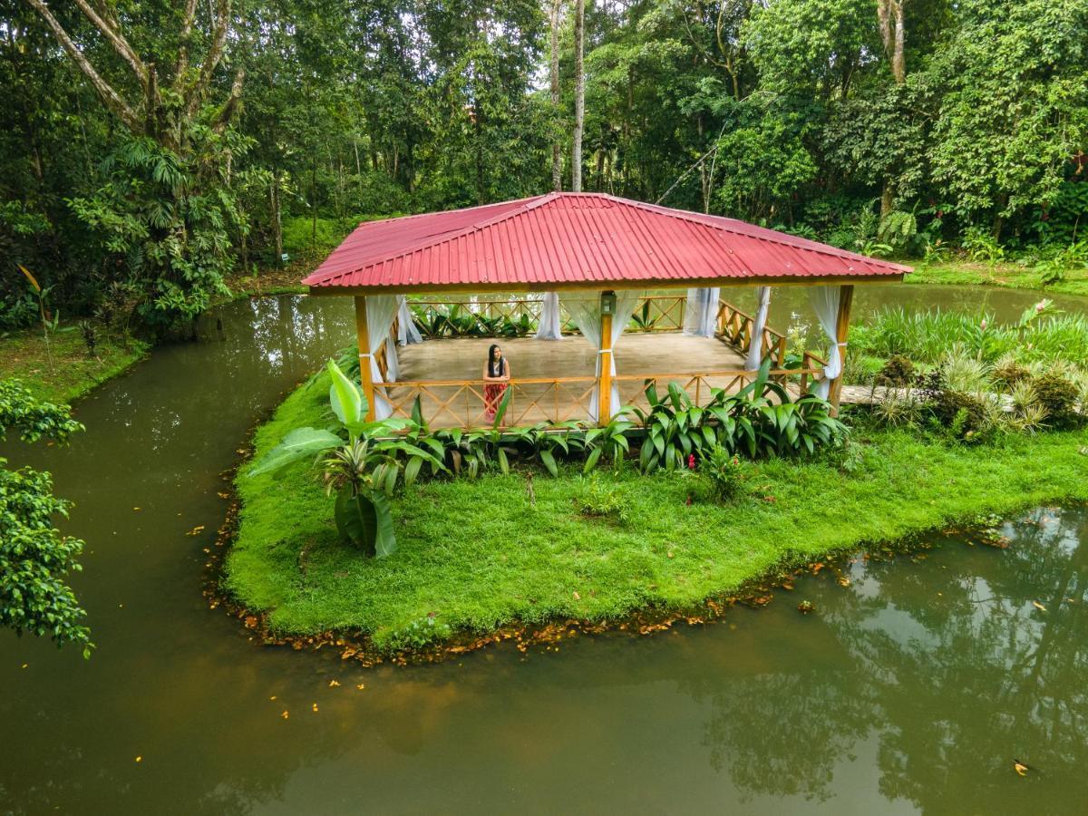 Ara Ambigua Lodge Sarapiqui Exterior photo