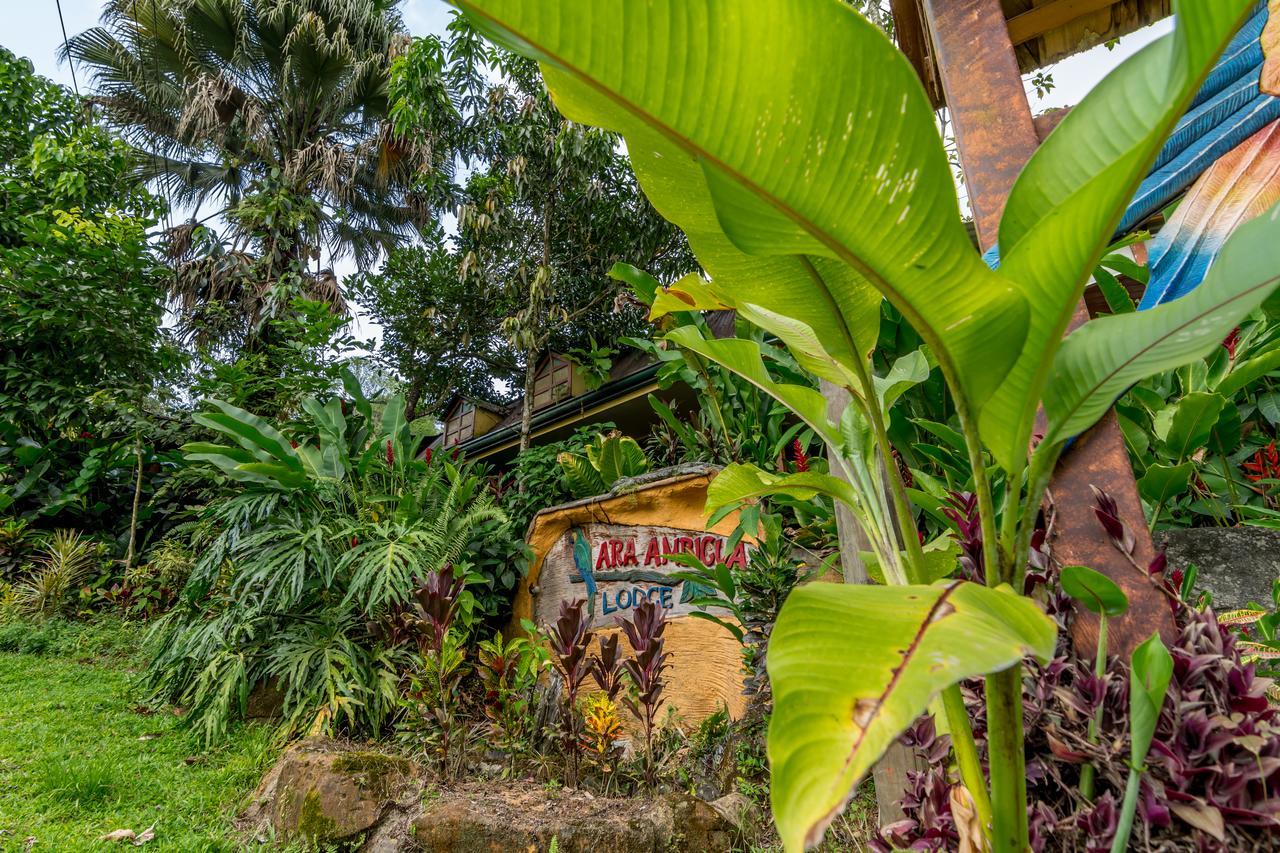 Ara Ambigua Lodge Sarapiqui Exterior photo